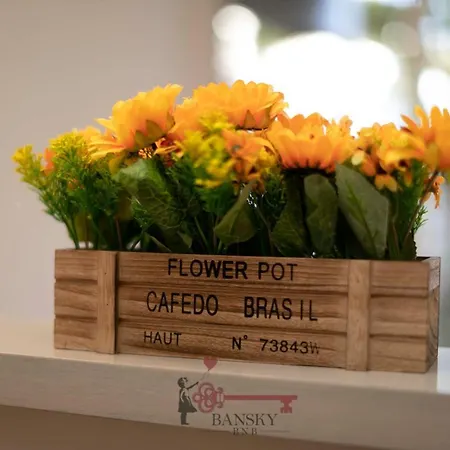 Soleil 5 With Terrace In Center -by Easylife Swiss * Lugano